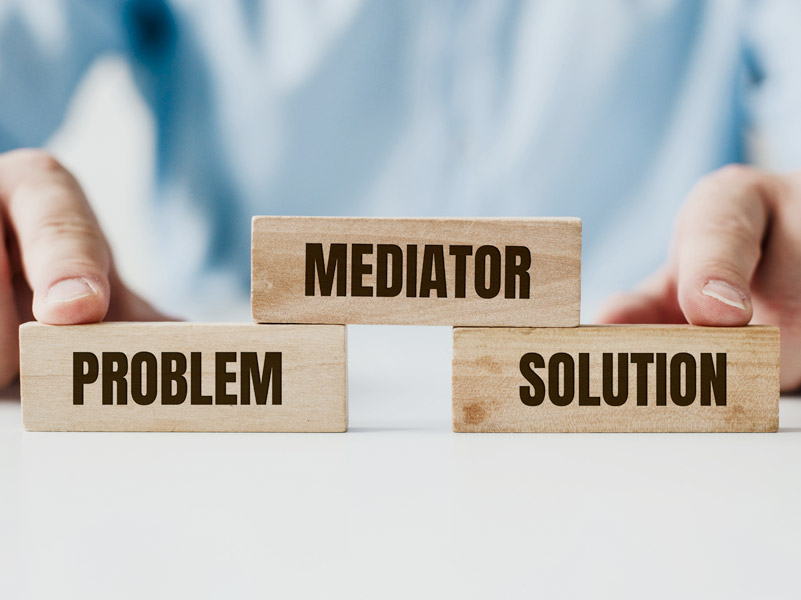 Professional Mediation Services